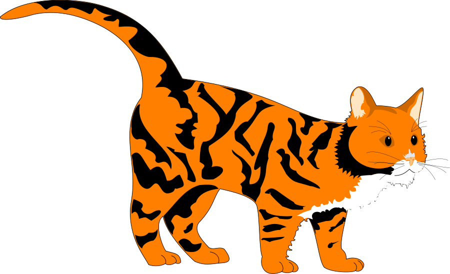 Tiger Cat - Orange Cat Clipart Png (900x548)
