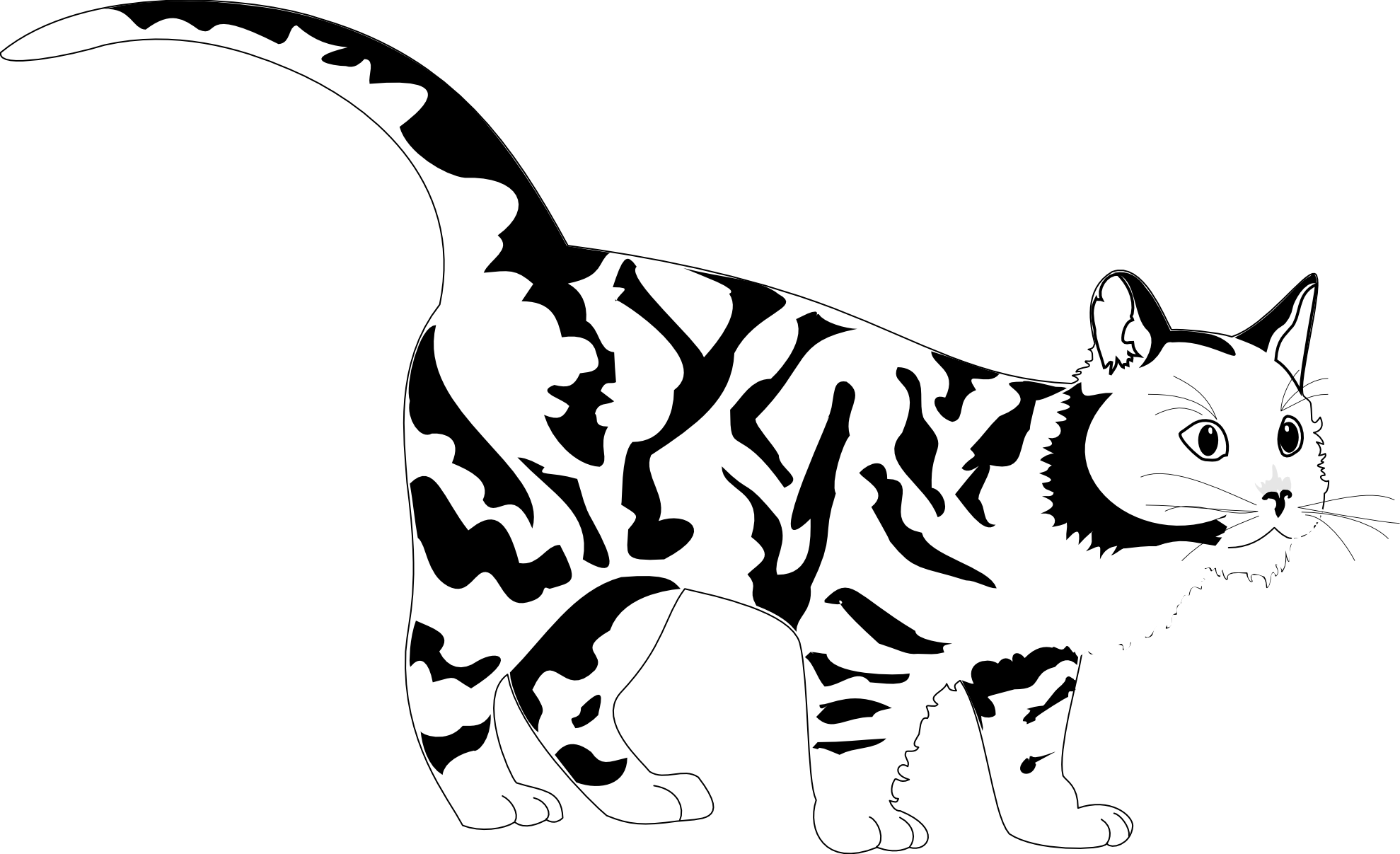 Tiger Cat Black White Line Art Coloring Sheet Colouring - Clip Art (1979x1207)