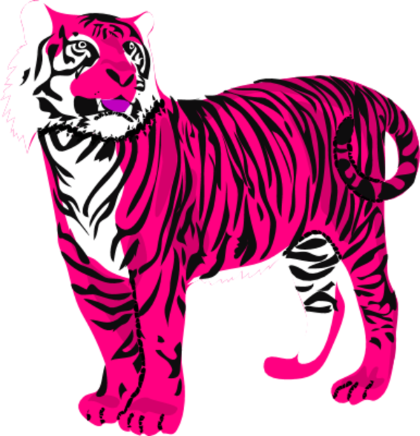 Tiger - Pink Tiger Clipart (600x622)
