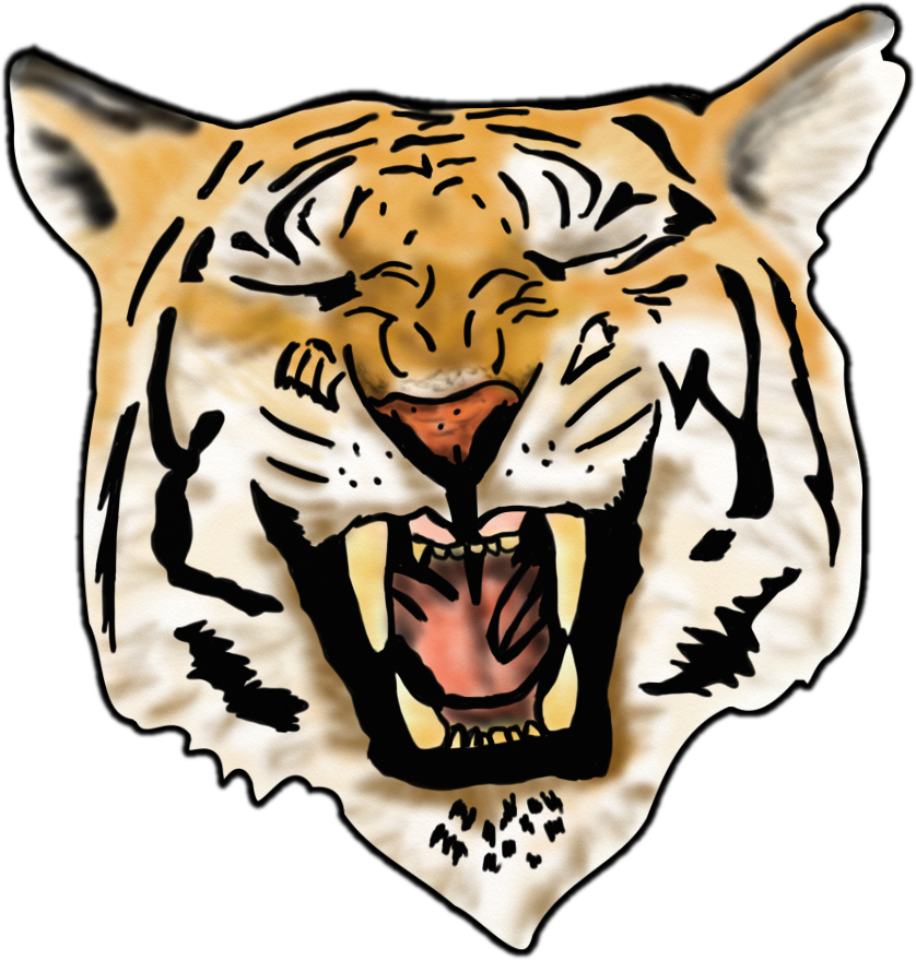 Airbrush Tiger Image - Colors Tiger Vector (838x879)