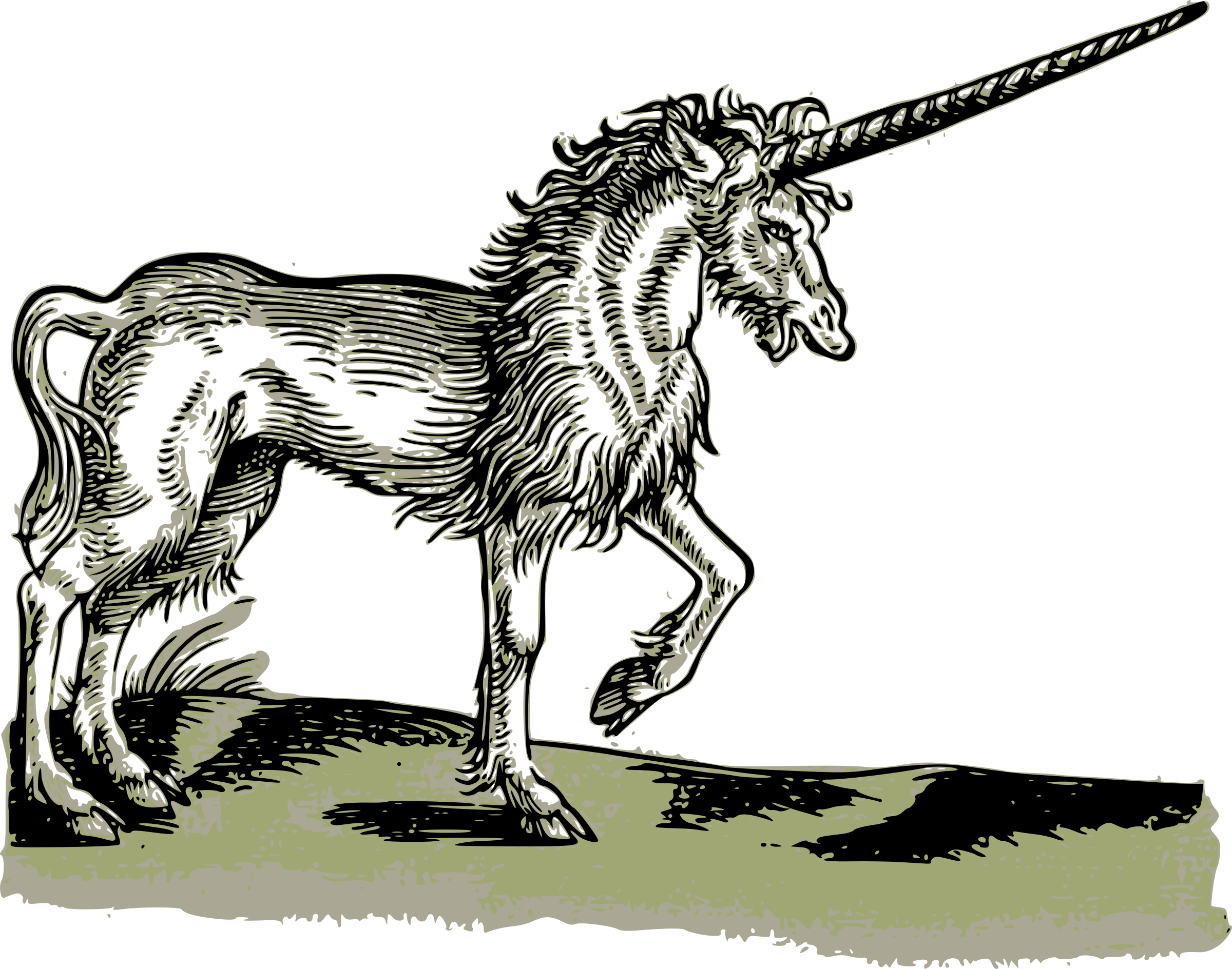 Unicorn - - Unicorns In The Bible Verse (2400x1889)