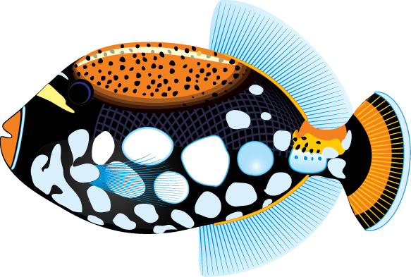 Clipart Info - Tropical Fish Clip Art (583x393)