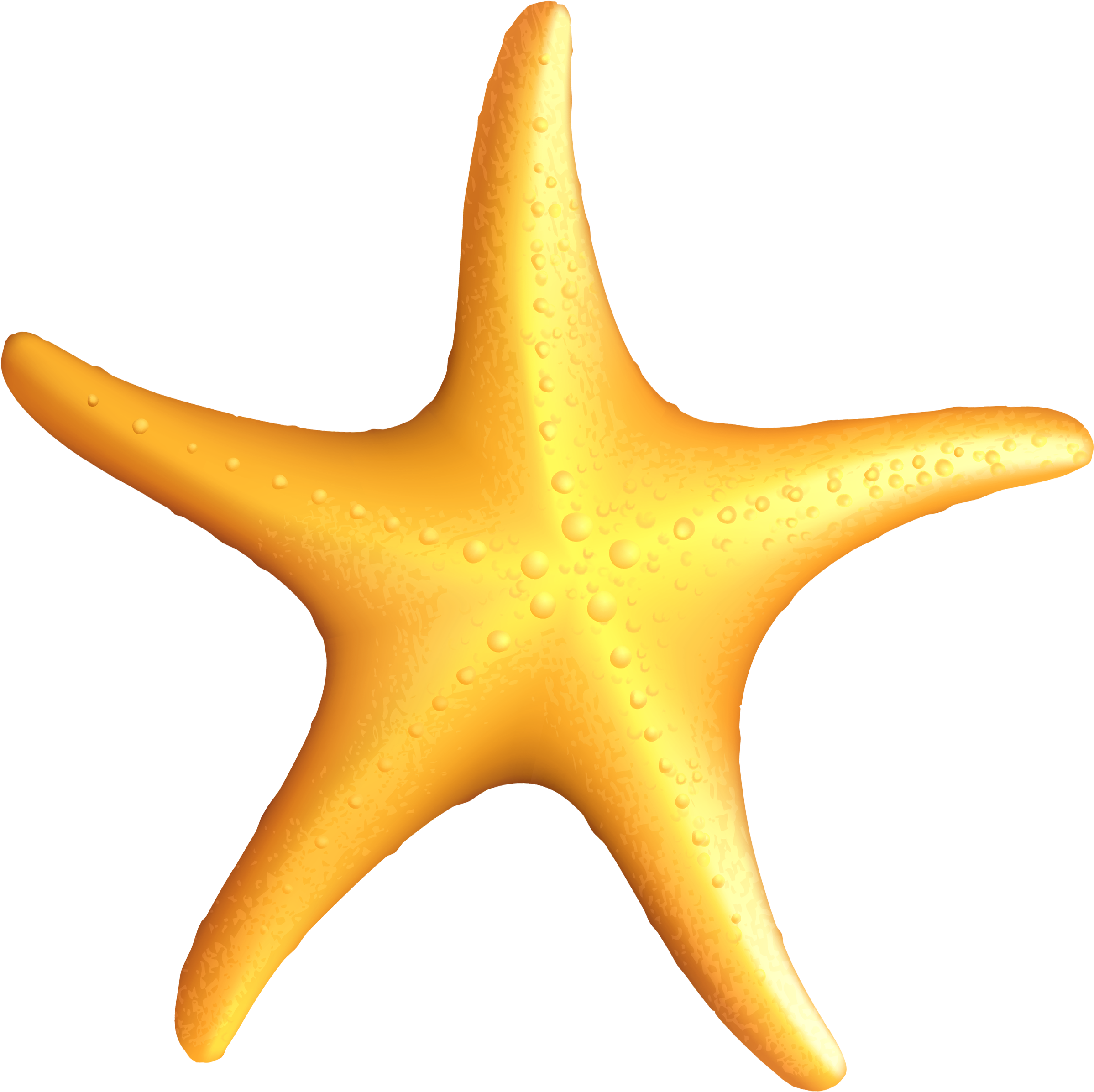 Clip Art Starfish - Starfish Clipart (2488x2558)