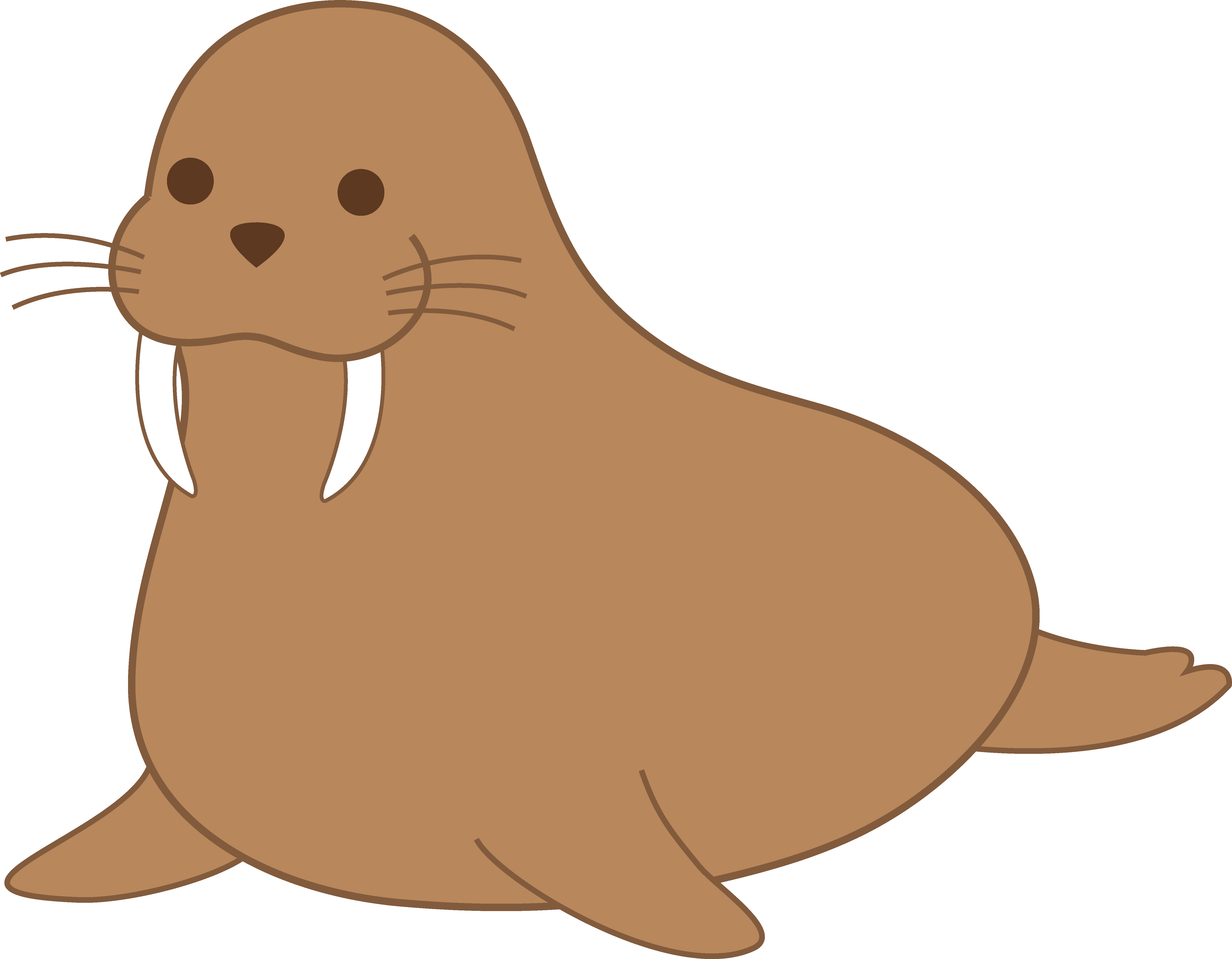 Walrus Clip Art - Walrus Clipart (5475x4263)