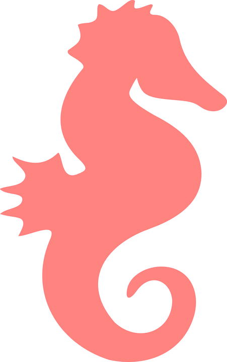 Coral Seahorse Clip Art At Clker - Sea Horse Clipart (451x720)