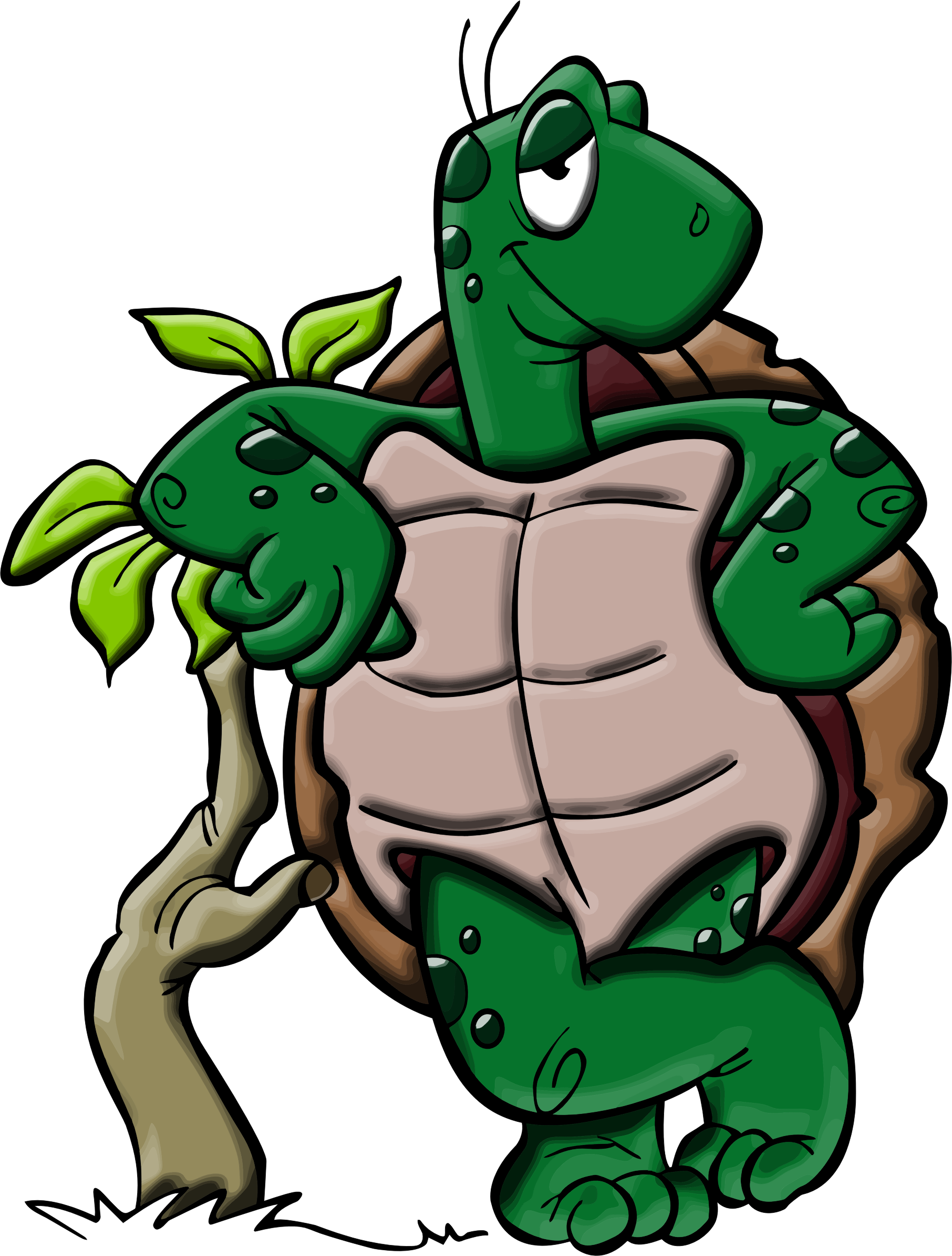 More From My Site - Cartoon Turtle Png (1812x2388)