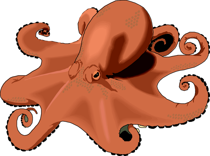 Octopus Ocean Clipart Sea Digital Clip Art Printable - Octopus (675x502)