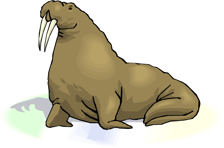 Top Walrus Clip Art Free Clipart Image - Walrus Transparent Background (750x496)
