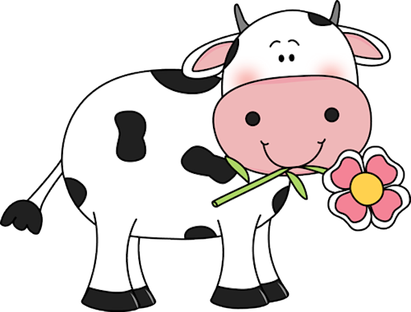 Cow With A Flower In Its Mouth Udderly Adorable - Cute Cow Clipart (640x480)