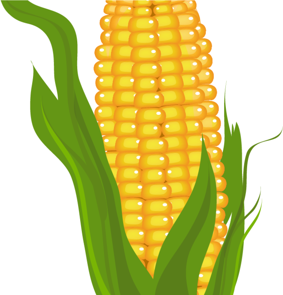 Corn Clipart Corn Clip Art Free Free Clipart Images - Free Clip Art Corn (1024x1024)
