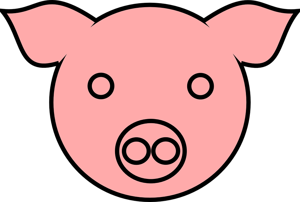 Pig 9 Clip Art - Pig Face Drawing (960x646)