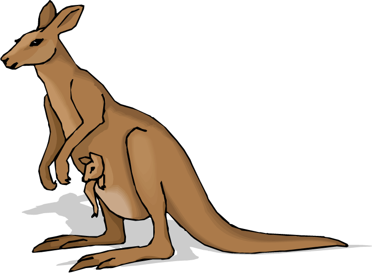 Kangaroo Clip Art Beer Free Clipart Images - Kangaroo Clip Art (750x552)