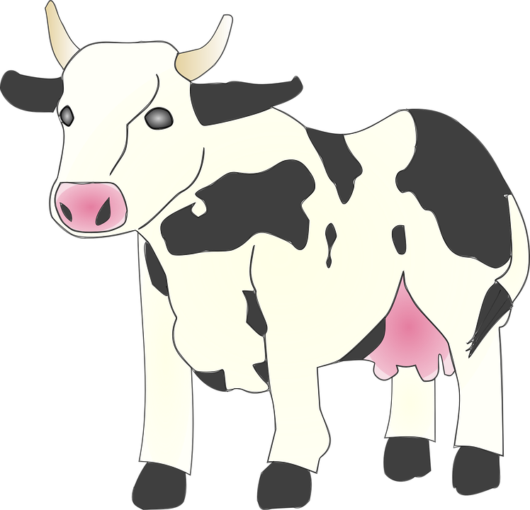 Cow Clip Art Image - Cow Clipart (1280x1231)