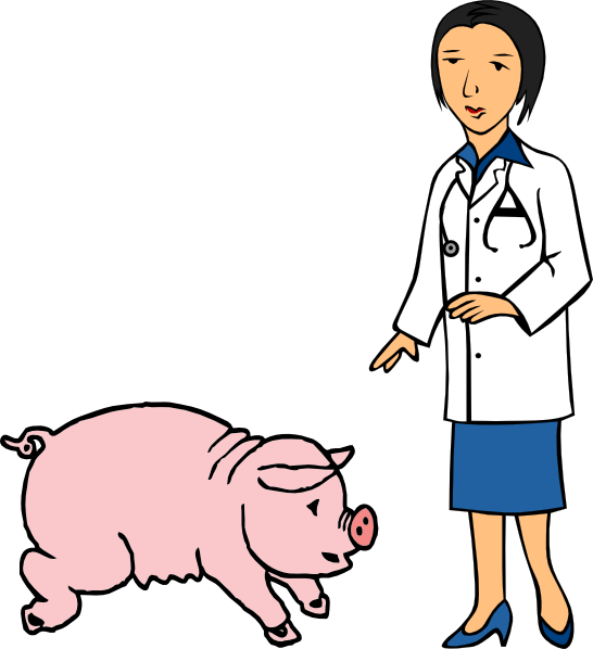 Doctor And Pig Clip Art At Clker - Veterinarian Clipart Png (546x598)