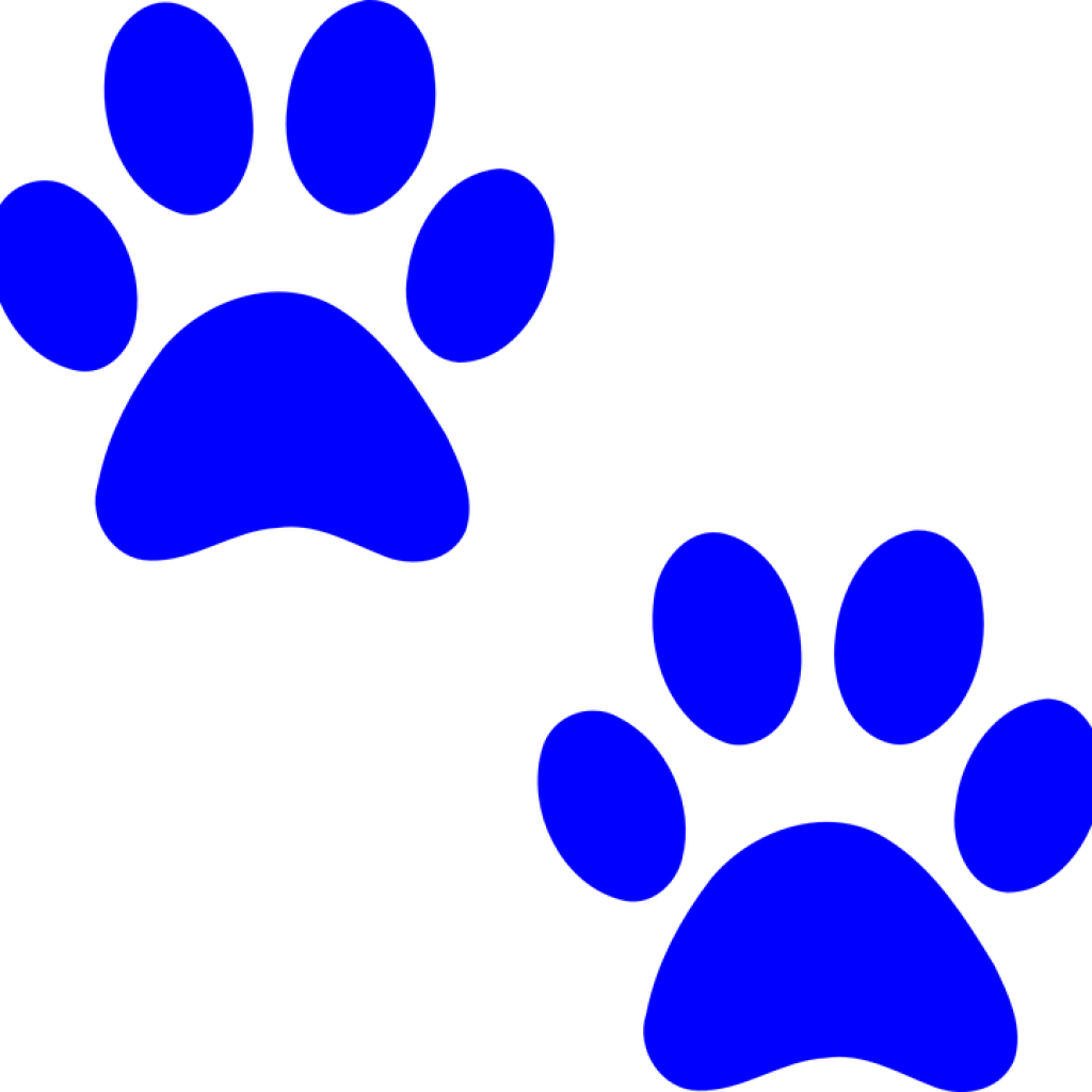 Dog Paw Clip Art Paw Prints Dog Free Vector Graphic - Blue Paw Print Clip Art (1024x1024)