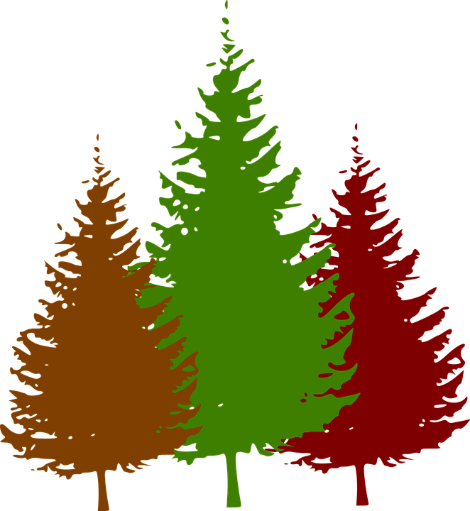 Pine Tree Silhouette Vector (662x720)