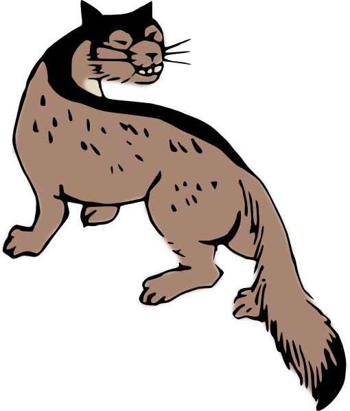 Wild Cat Clip Art At Clipart - Custom Weasel Shower Curtain (510x598)