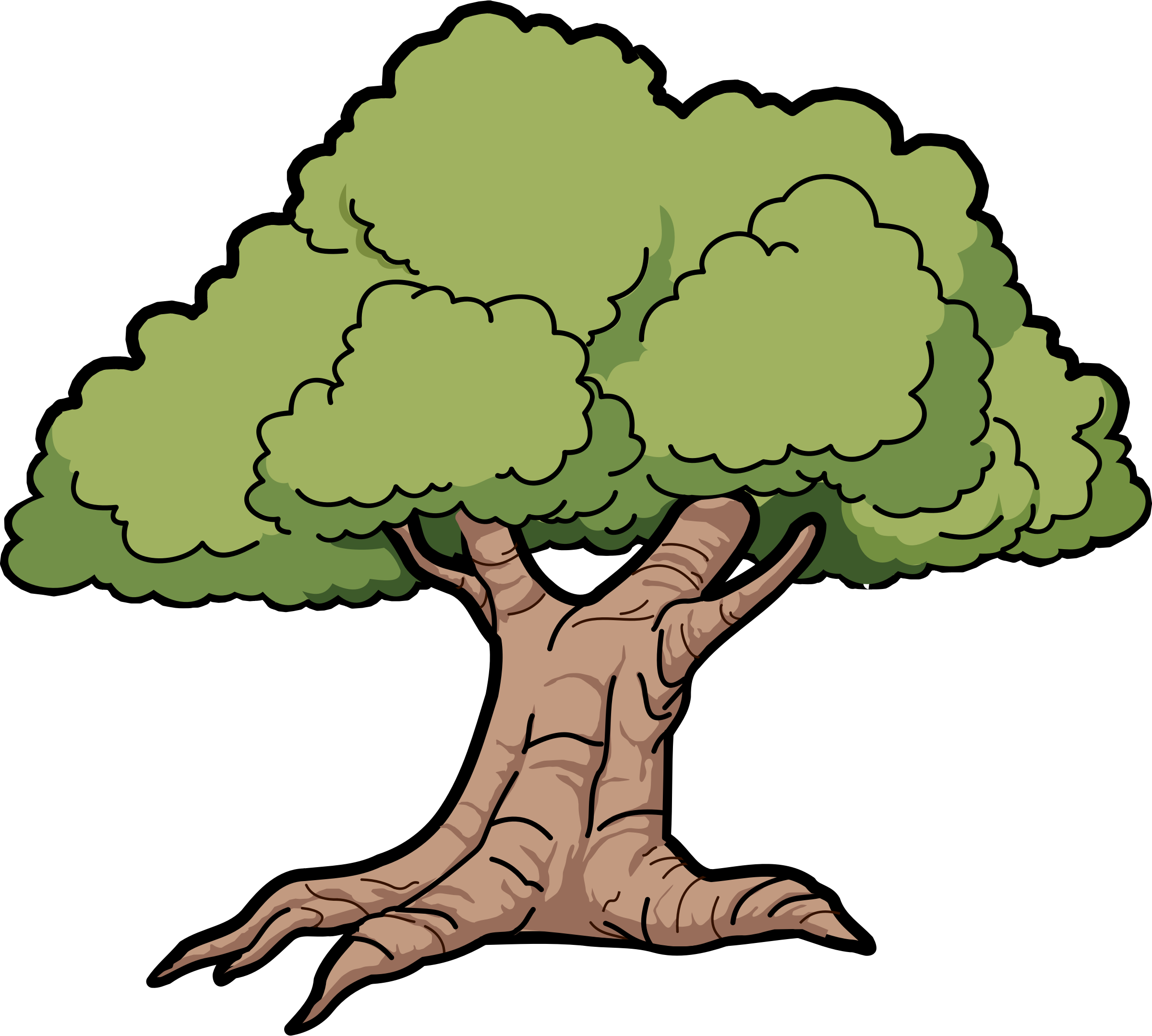 Clipart - Oak Clipart (2400x2160)