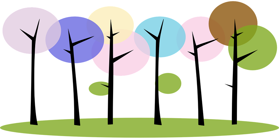 Forest Trees Nature Plants Abstract - Clip Art (960x480)