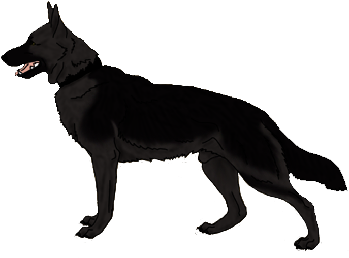 Clip Art German Shepherd Dog 10 Cool Hd Wallpaper - Dogs Black And White Angry (784x550)