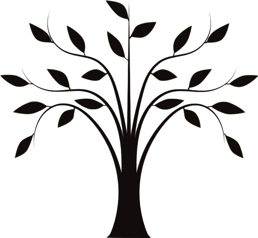 Drawing Tree Trunk Clip Art - Line Drawing Of Tree (835x793)