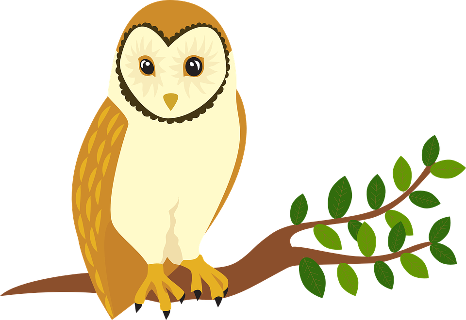 Owl Forest Animal Tree Bird - Owl (1280x880)