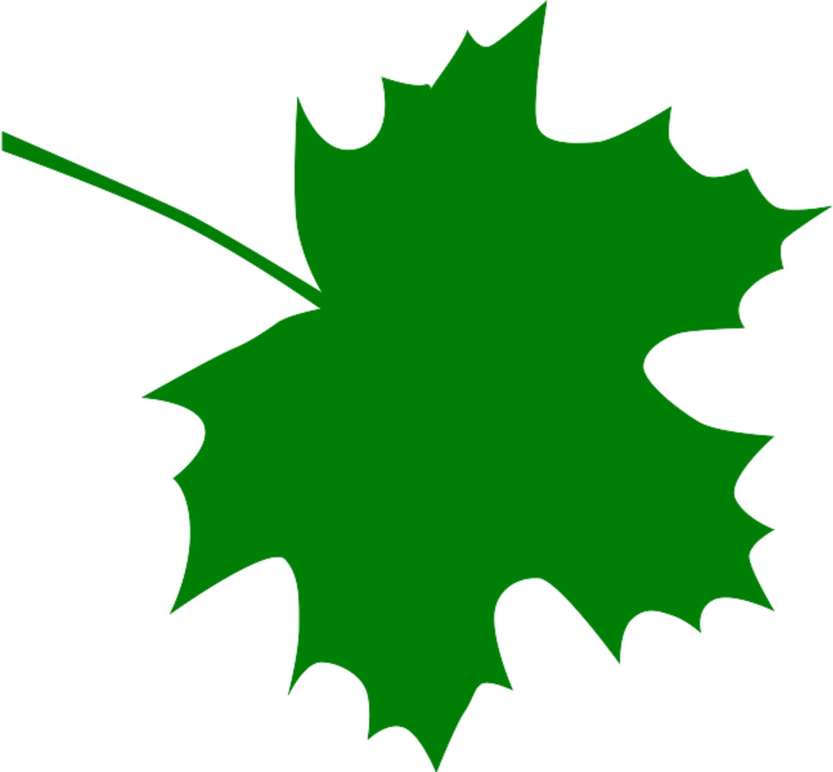 Sugar Maple Leaf Clipart Kid - Green Maple Leaf Clip Art (2000x1500)