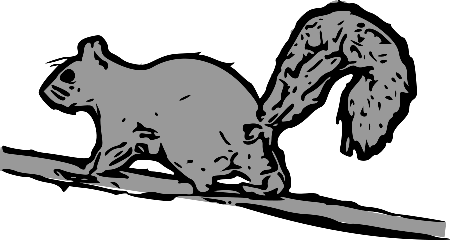 Squirrel Black And White Funny Squirrel Clipart Free - Cartoon Squirrel Running Up Tree (900x480)