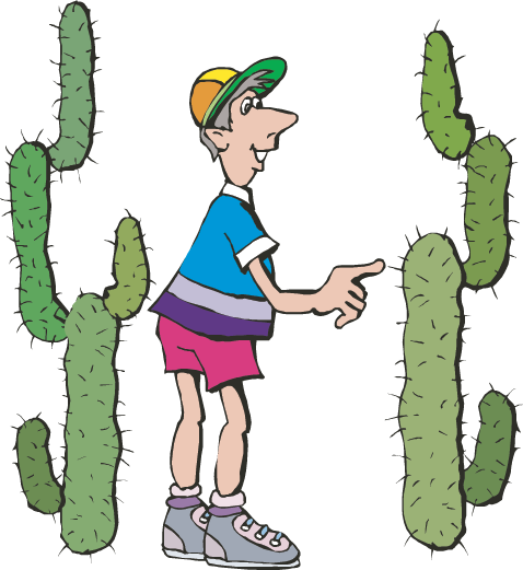 Five Senses Facts Science Trek Idaho Public Television - Sense Of Touch Clipart (478x521)