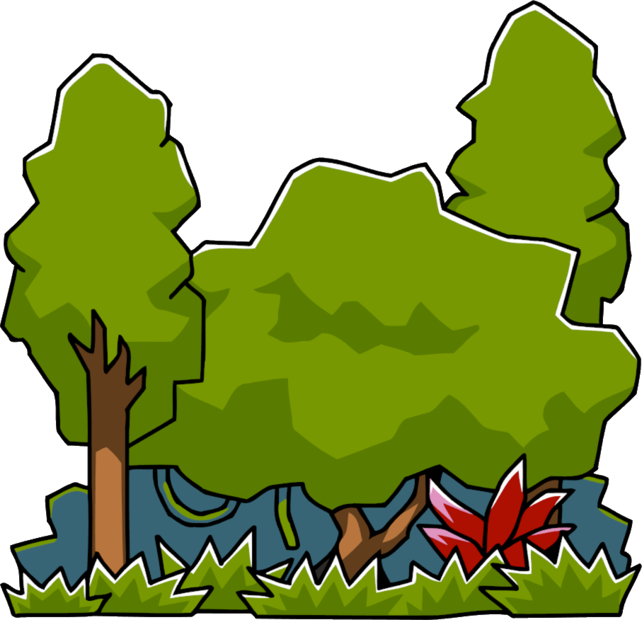 Image - Rainforest Png Clipart (907x876)