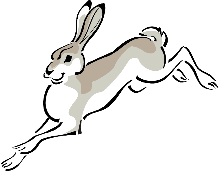 Arctic Hare European Hare Cottontail Rabbit Clip Art - Jack Rabbit Clipart (750x590)