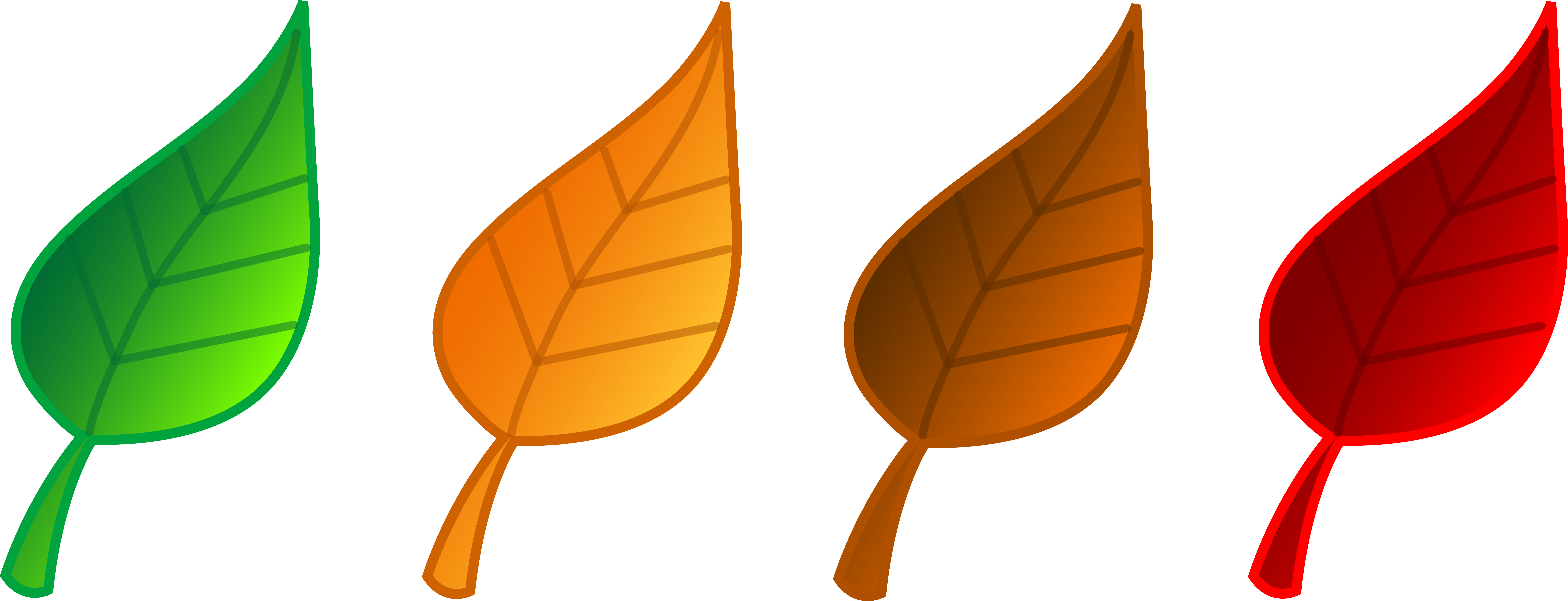 Clip Art Tree No Leaves Free Clipart Images - Fall Leaves Clip Art (7840x3006)
