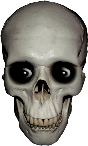 Cool Skull Clip Art And Funny - Skull Clip Art Transparent (426x549)