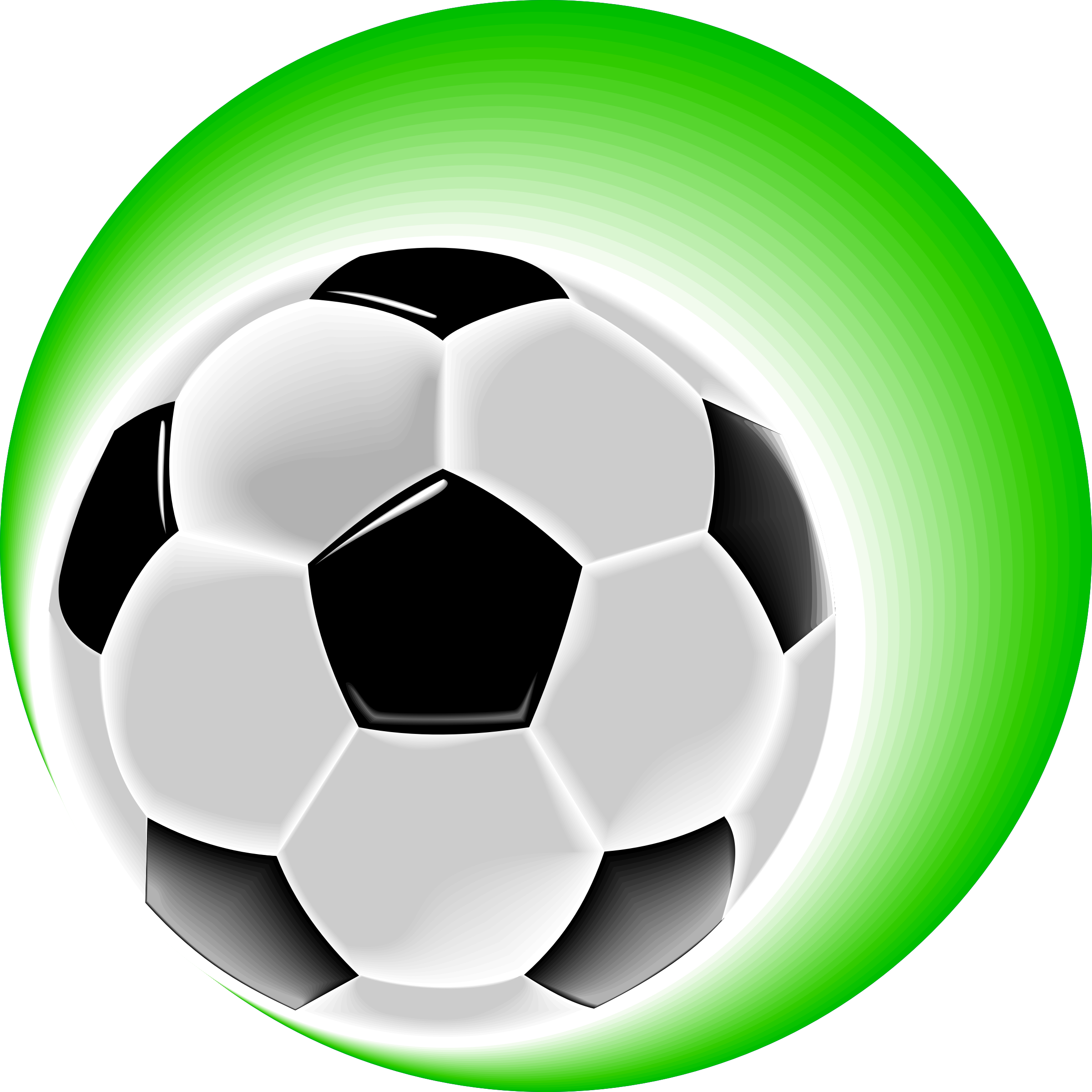 Soccer Ball Clip Art - Soccer Ball And Cleats (2400x2400)