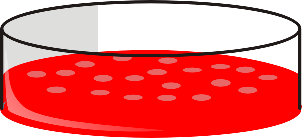 Cell Culture Petri Dish (600x275)