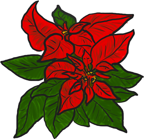 Free Poinsettia Clip Art - Poinsettia Free Clipart (500x500)