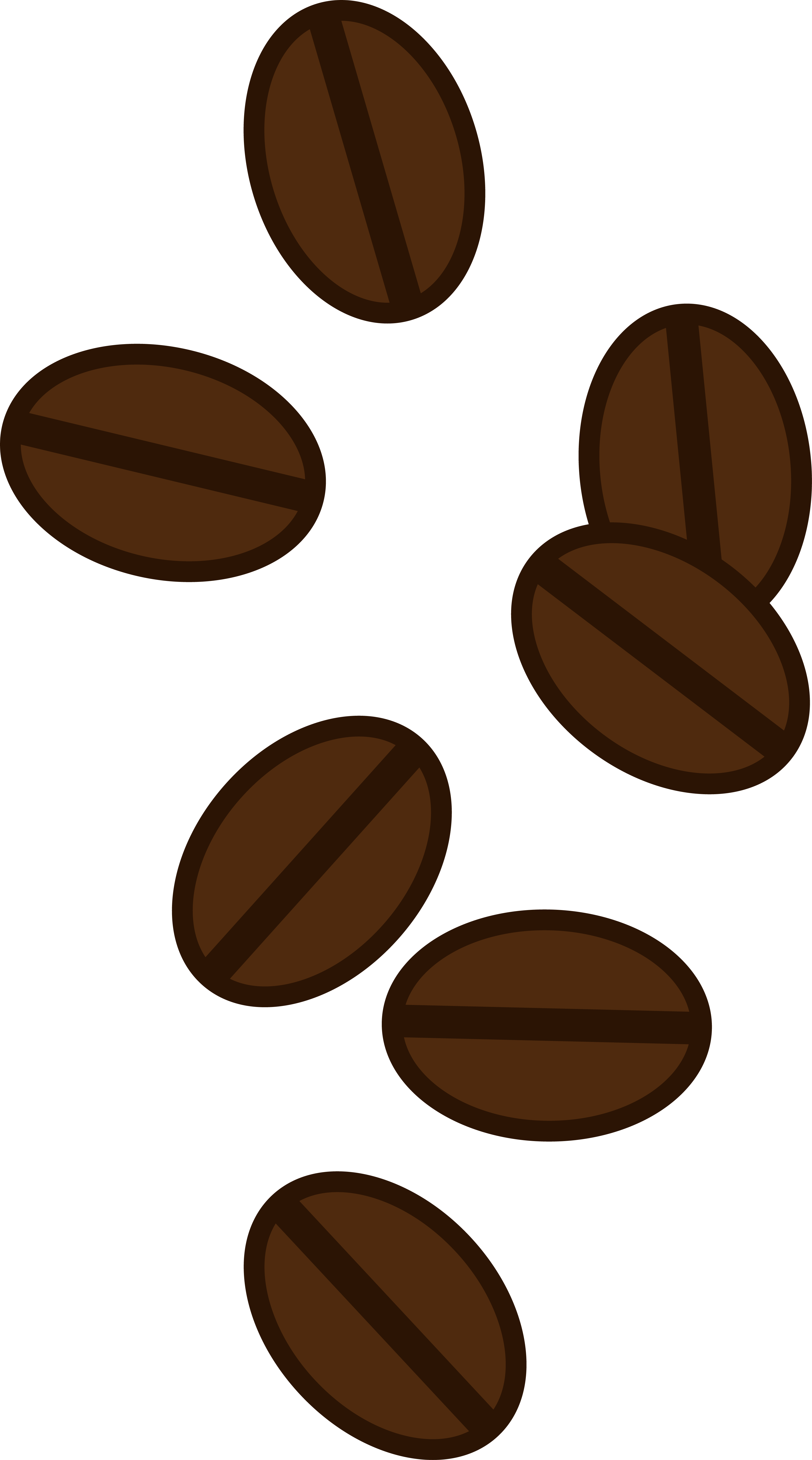 Plant Clipart Coffee Bean - Coffee Bean Clipart (3252x5846)