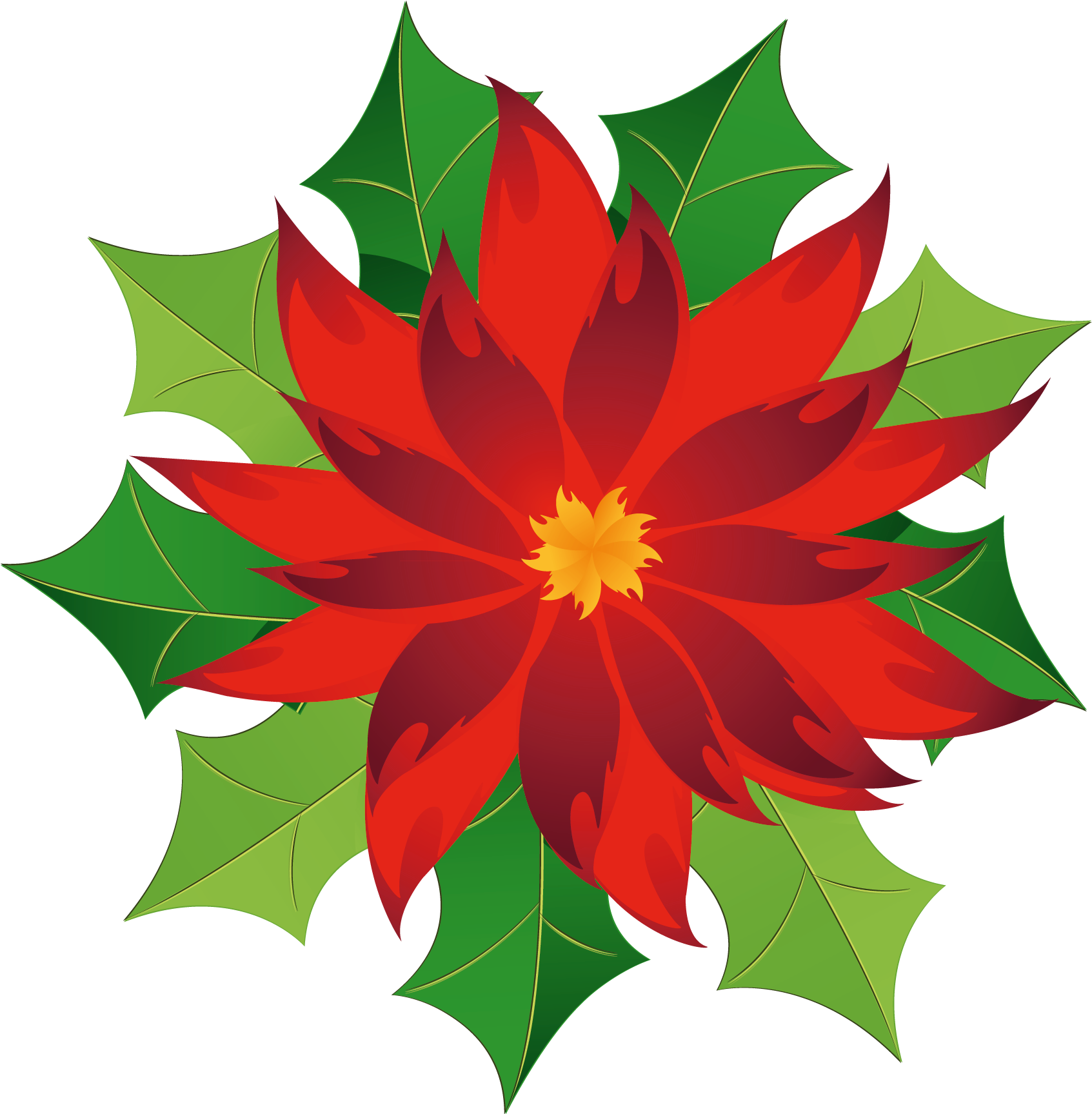 Christmas Poinsettia Clipart - Poinsettia Clipart Png (1807x1788)