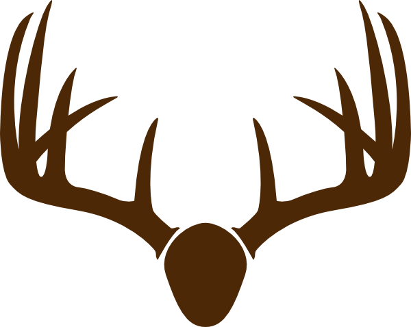 Brown Deer Skull Mount Clip Art At Clker - Deer Antler Drawing (600x478)