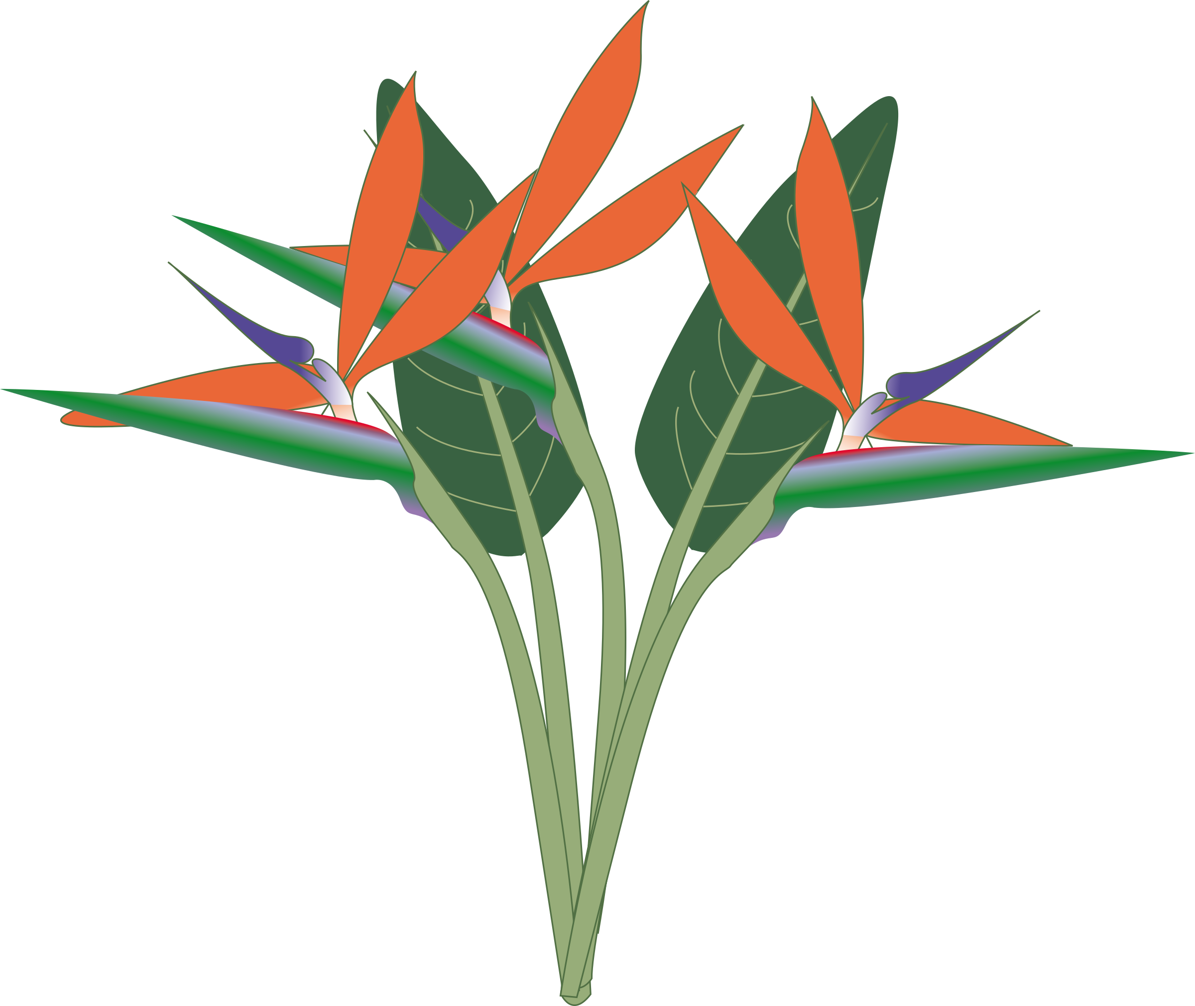 Free Bird Of Paradise Flower Clip Art - Bird Of Paradise Clipart (2400x2020)
