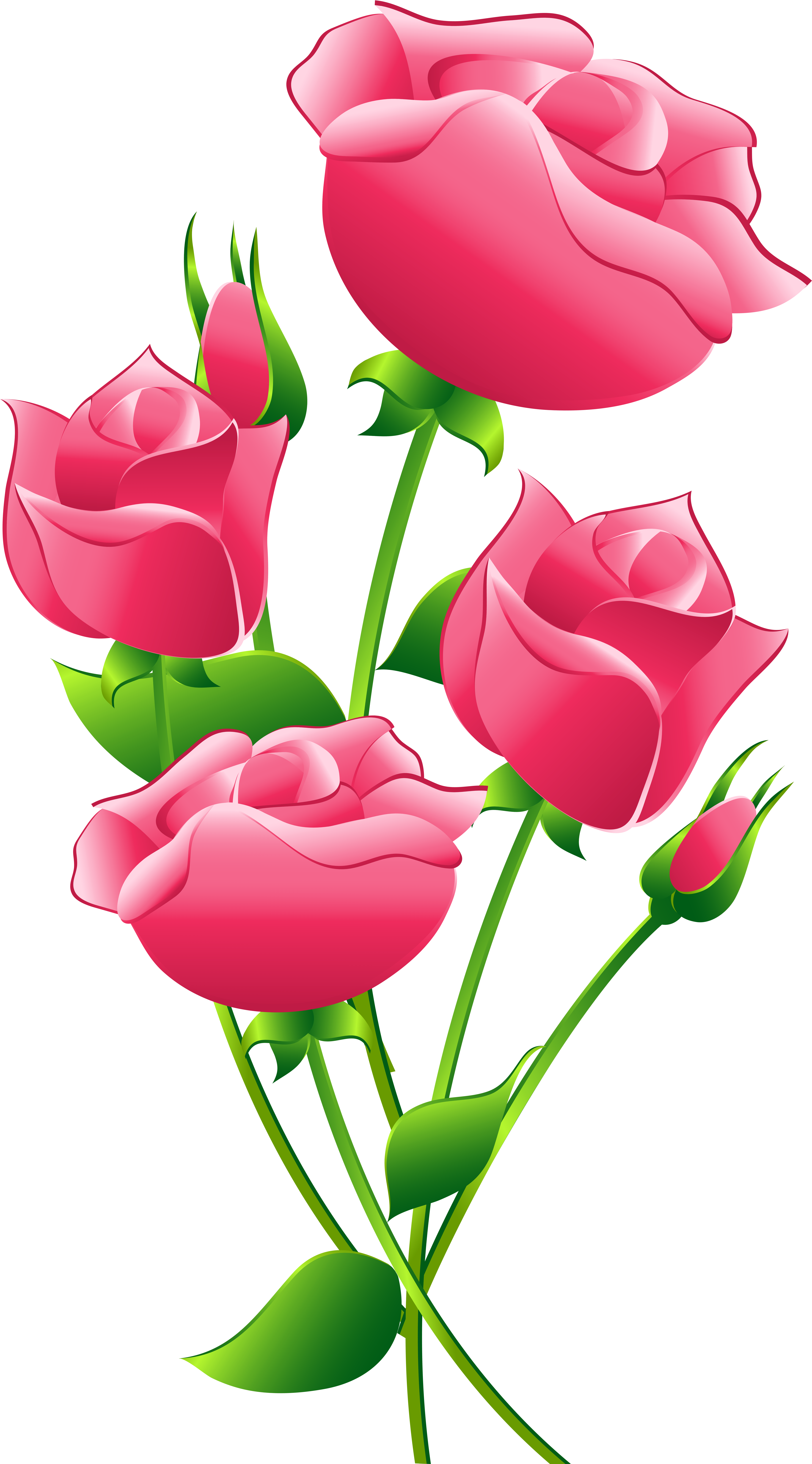 Pink Roses Transparent Clip Art Image - Pink Roses Transparent Clip Art Image (5434x9473)