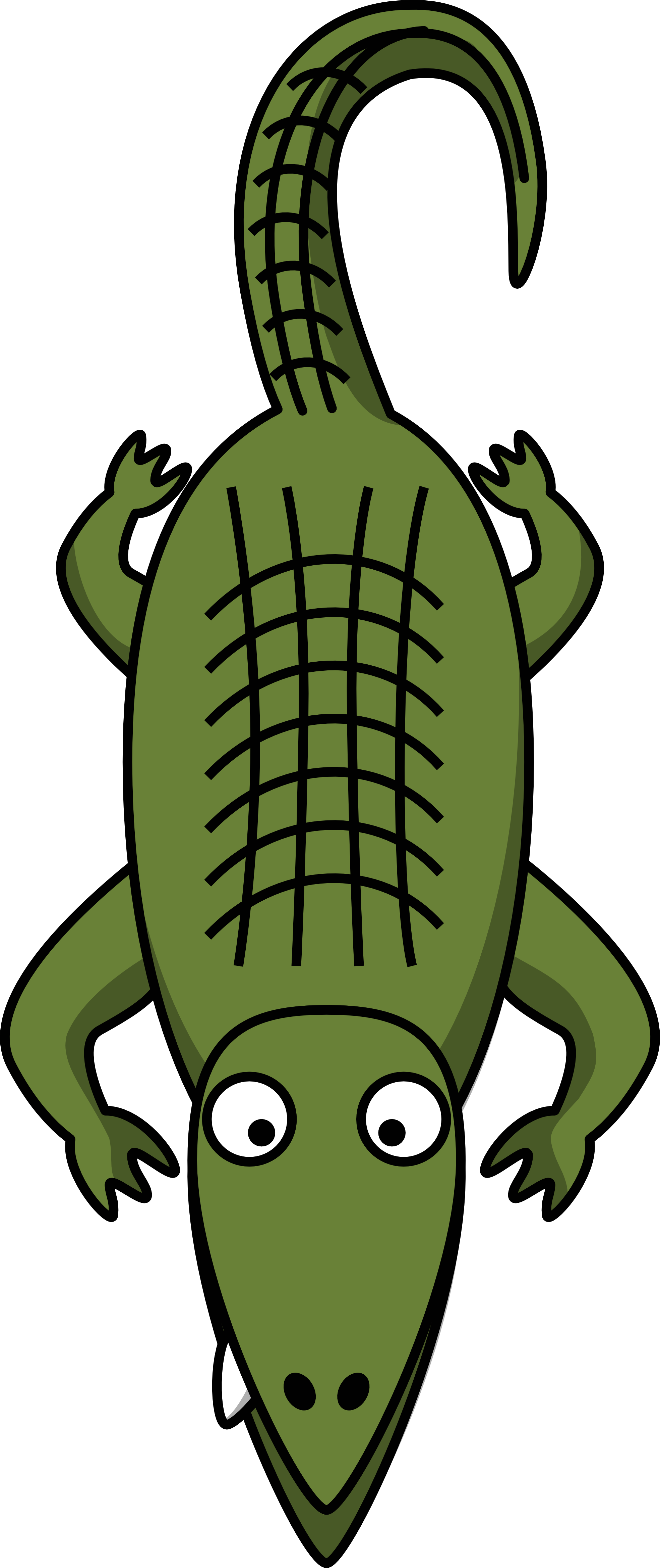 Alligator Cartoon (1969x4671)