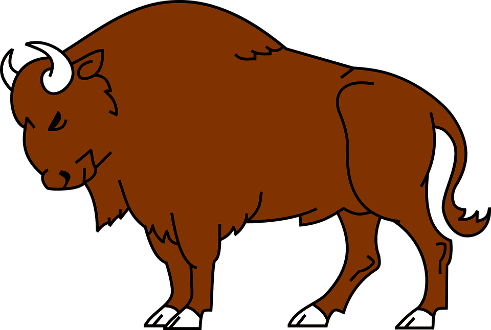 Marvellous Design Bison Clipart For A Clip Art Panda - Bison Clipart (960x646)