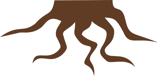 Roots Clipart Different Kind Plant - Roots Clipart (600x289)