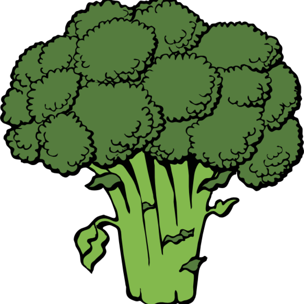 Vegetables Clipart Vegetable Clipart Free Broccoli - Clipart Broccoli (1024x1024)
