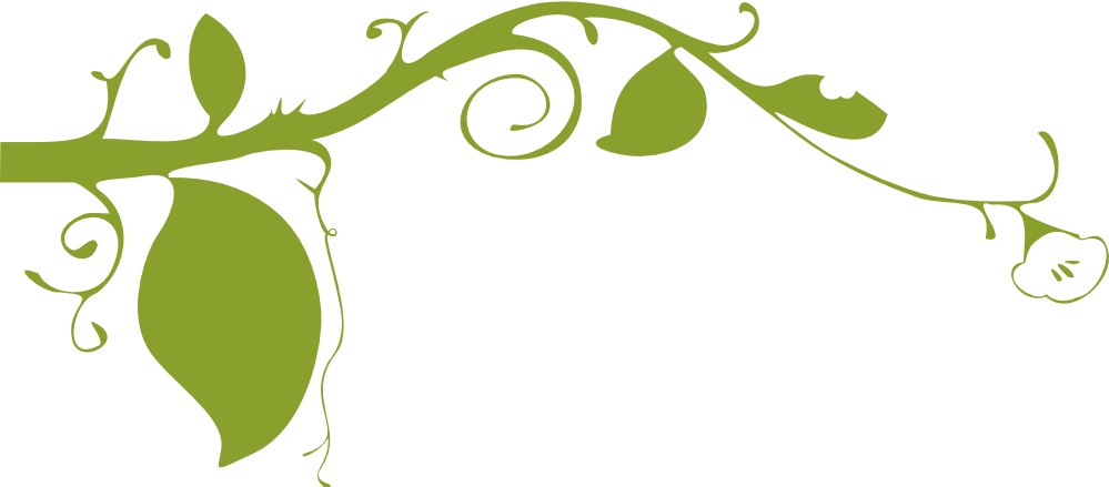 Flower Clip Art Vector - Plant Clip Art Border (2400x1054)