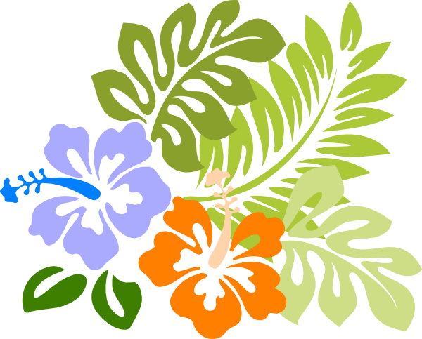 Hawaiin Flowers - Clipart Library - Hawaiian Flower Png (600x483)