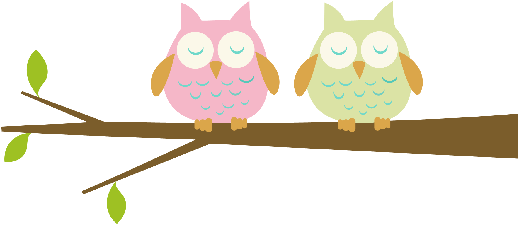 Owl Clipart - 2 Owls Clip Art (1771x768)