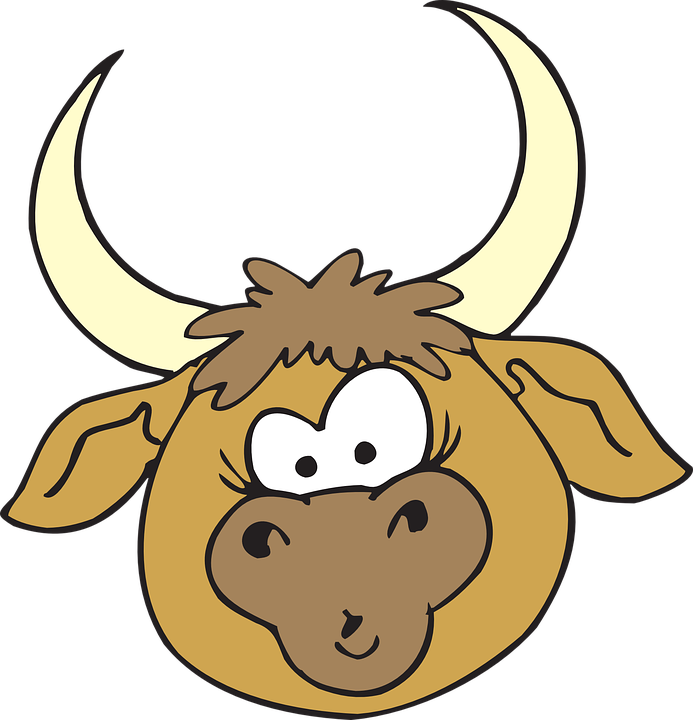 Bull Head Clipart (693x720)