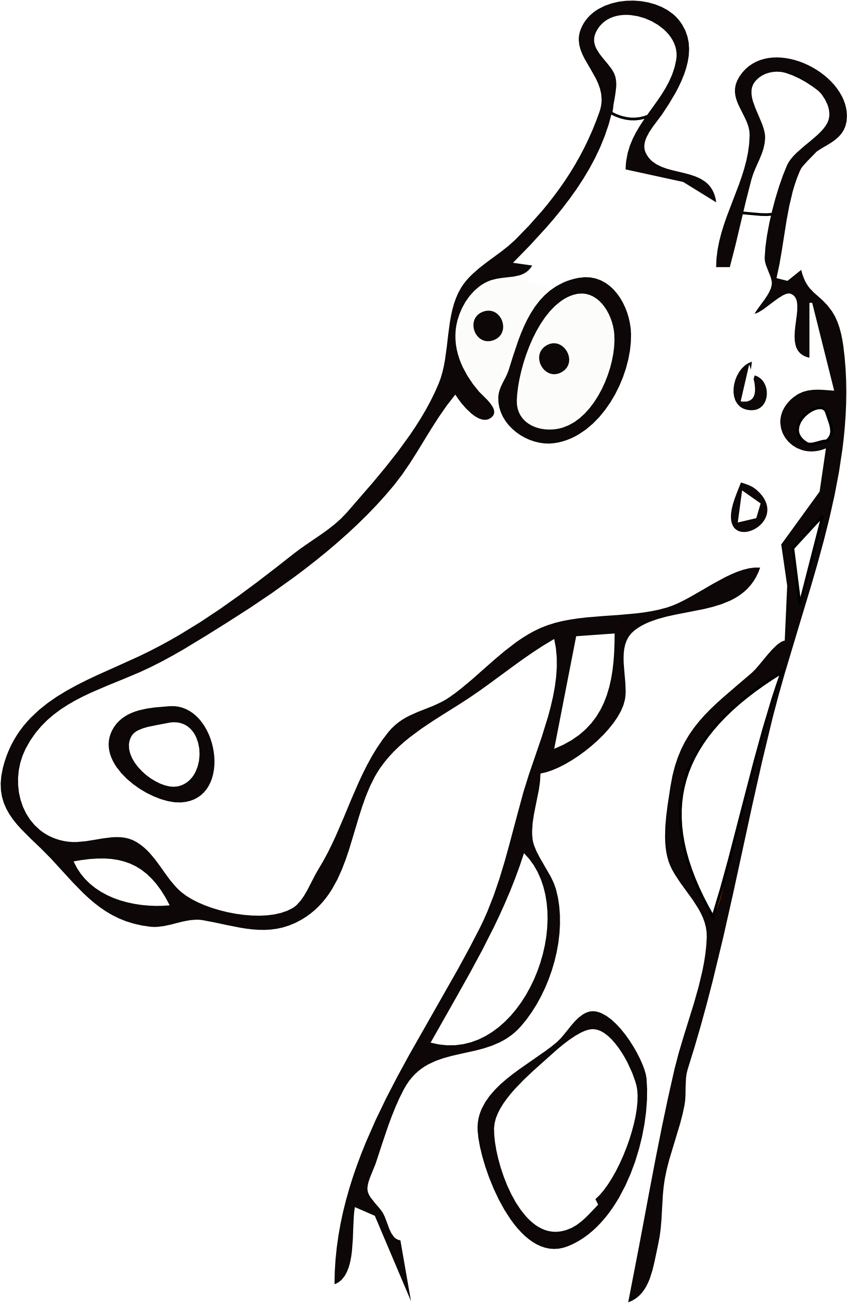 Bonfire - Giraffe Head Black And White Drawings (1979x2799)